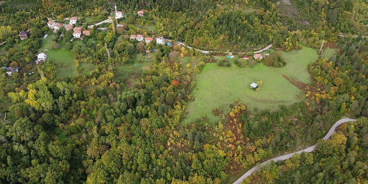 Sinop'ta Sonbahar Güzelliği Seyirlik Manzaralar Sunuyor