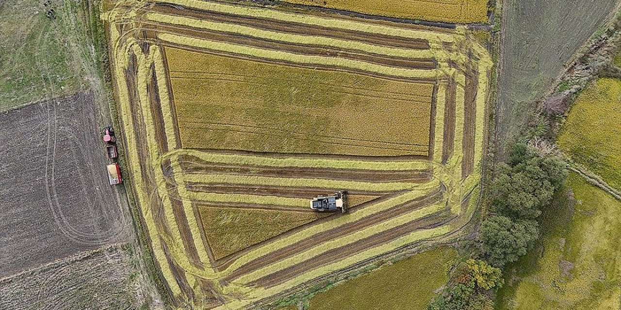 Tarımsal Üretime Yönelik Hazine Destekli Finansmana İlişkin Limitler Yeniden Belirlendi