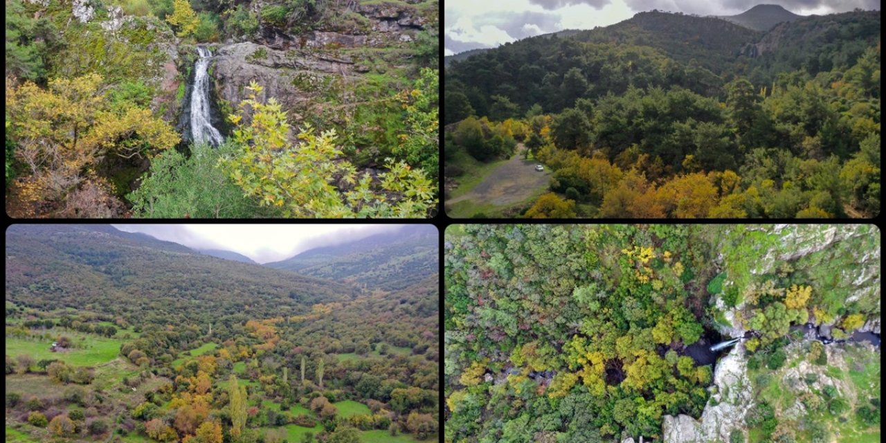 Yunt Dağları'ndaki Ağaçlar Hazan Rengine Büründü