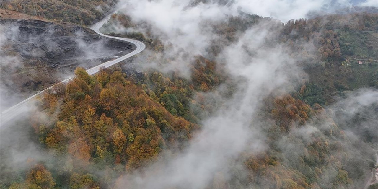 Ordu'da Etkili Olan Sis Sonbahar Renkleriyle Güzel Görüntü Oluşturdu