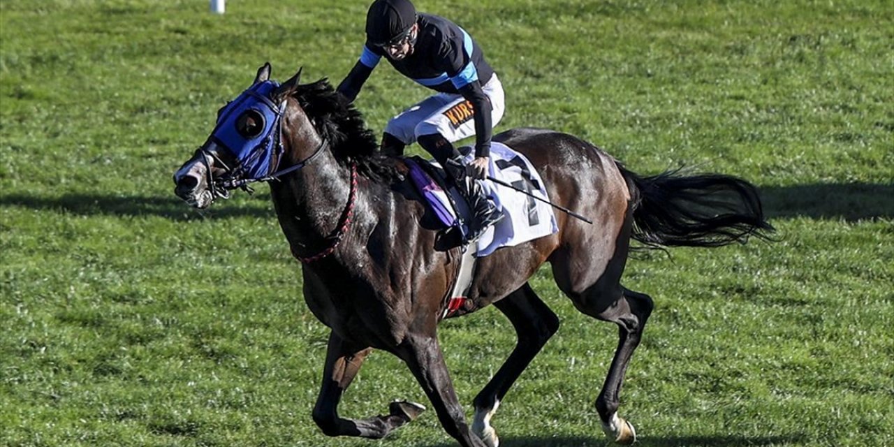 At Yarışlarında 45. Cumhuriyet Koşusu Ve 87. Cumhurbaşkanlığı Koşusu, Ankara'da Yapılacak