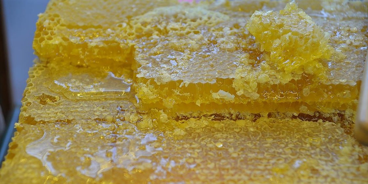 Doğu Karadeniz'in 9 Aylık Bal İhracatı 1,7 Milyon Doları Aştı