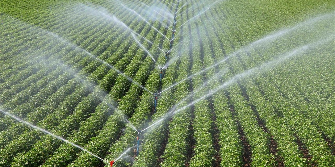 Çiftçilere 306 Milyon 541 Bin 763 Lira Tarımsal Destek Ödemesi Bugün Yapılacak