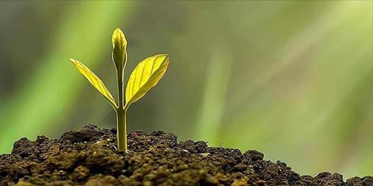 İklim Değişikliği Azaltım Stratejisi ve Eylem Planı Güncellenecek