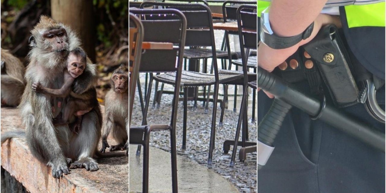 Dünyada Ekim Ayında Birçok Sıra Dışı Ve Tuhaf Olay Basına Yansıdı