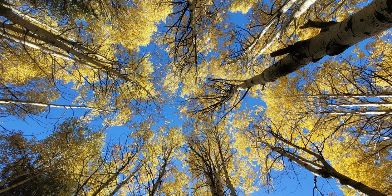 Kars'ta Sonbaharın Son Güzellikleri Yaşanıyor