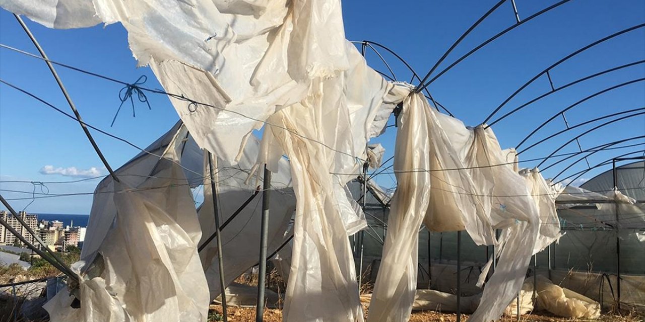 Tarım Sigortaları Kapsamında Ekimde Üreticilere 11,6 Milyar Lira Hasar Tazminatı Ödendi