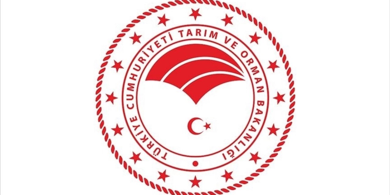 Tarım ve Orman Bakanlığı Şap Hastalığının Kontrol Altına Alındığını Bildirdi