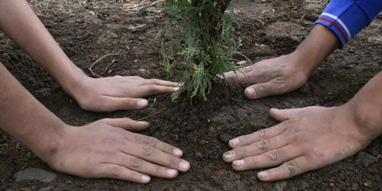 Atatürk'ü Anma Günü İle Milli Ağaçlandırma Günü'nde Okullarda Fidan Dikim Etkinlikleri Yapılacak