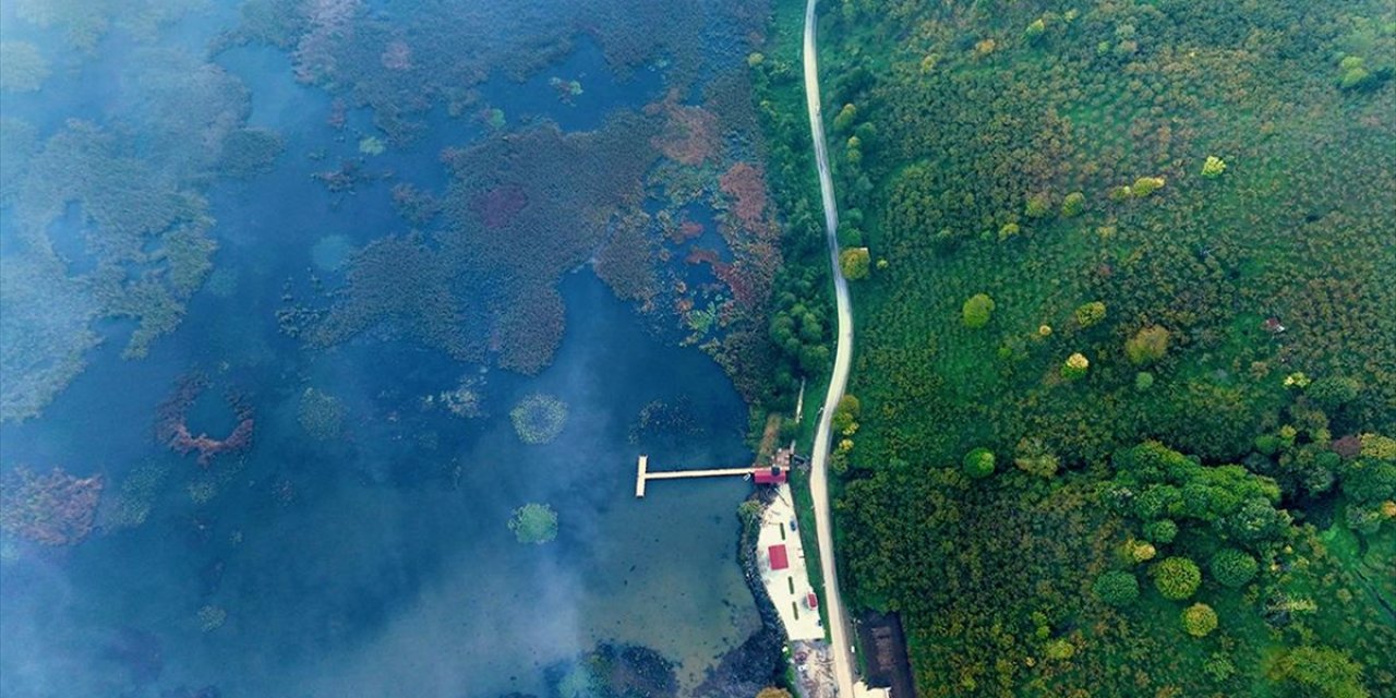 Efteni Kuş Cenneti'nde Sonbahar Renkleriyle Sis Ahenk Oluşturdu