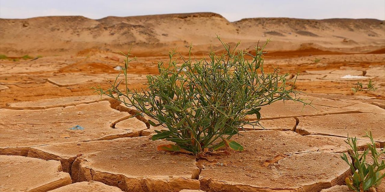 İklim Finansmanı Brezilya’daki BM Müzakerelerinin En Sıcak Gündemi