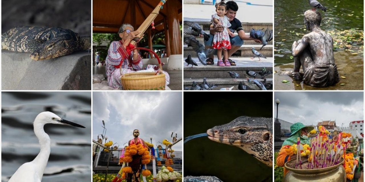 Tayland’ın Nakhon Şehrindeki "Suan Rak Parkı" Doğal Güzelliği ve Kültürel Mirasıyla Öne Çıkıyor