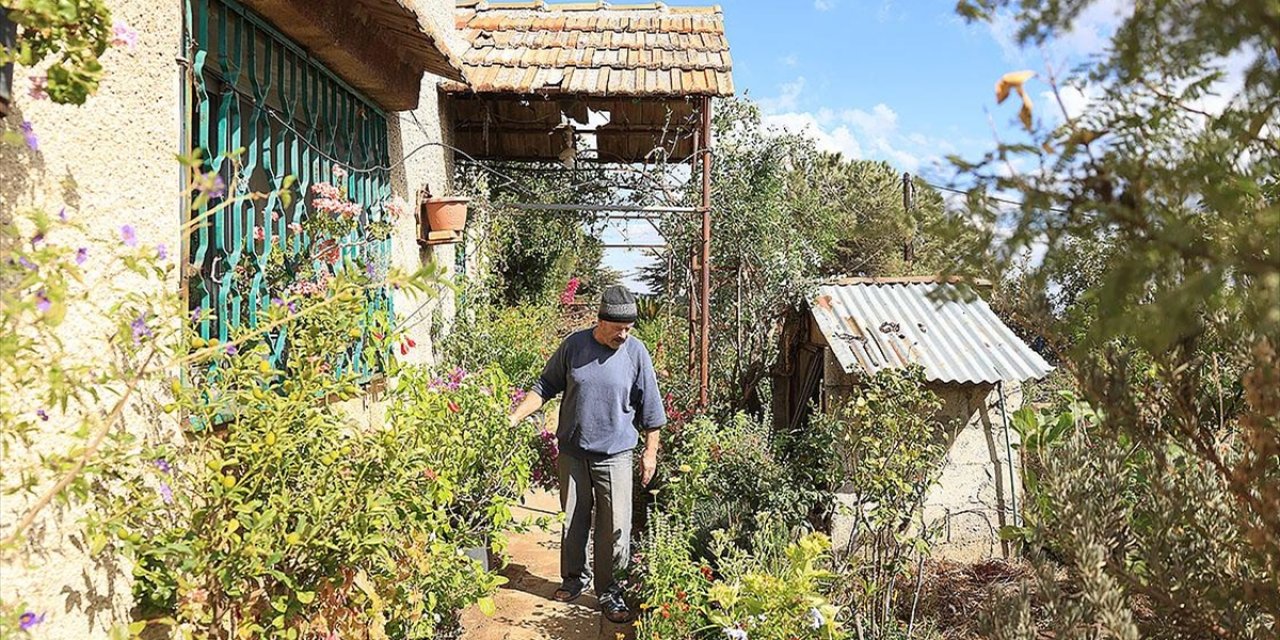 Suriyeli Koleksiyoner Receb, Evinde Binlerce Bitki Türü Yetiştiriyor
