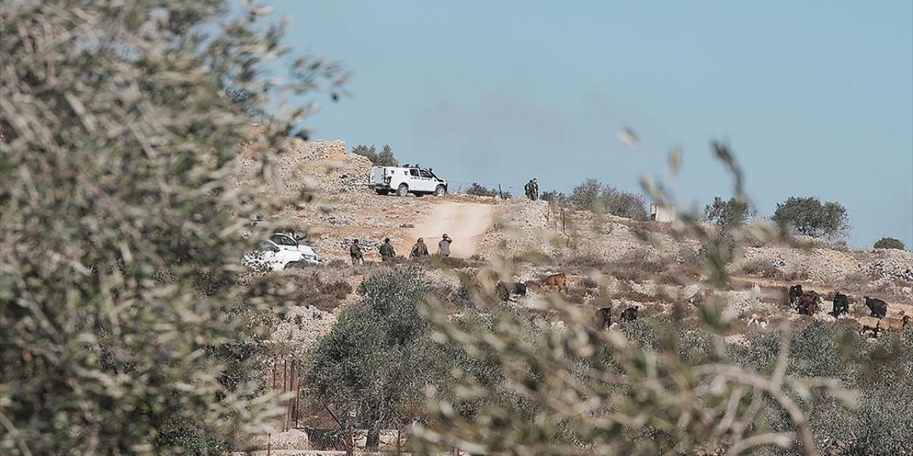 Filistin Topraklarını Gasbeden İsrailliler, Batı Şeria'da Filistinlilerin Zeytin Ağaçlarına Zarar Verdi