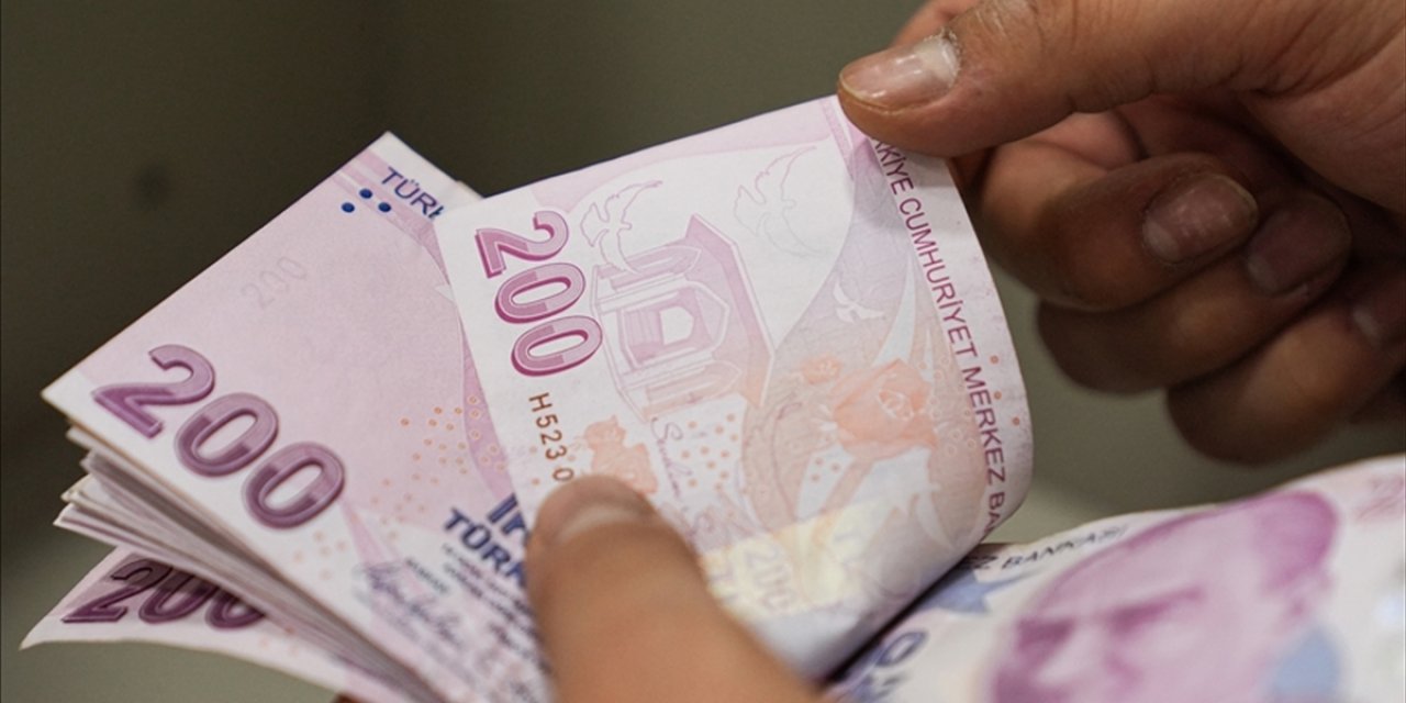 Bireysel Emeklilik Sistemi'nde Gönüllü Katılımcı Sayısı 10 Milyonu Aştı