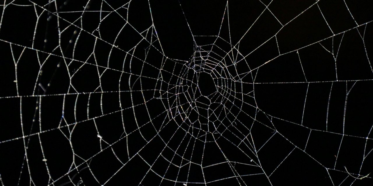 Arnavutluk-Yunanistan Sınırında Bir Mağarada "Dünyanın En Büyük Örümcek Ağı" Bulundu