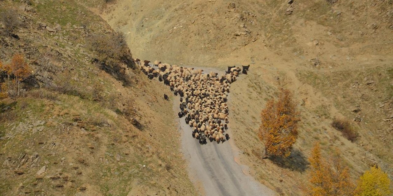 Muş'ta Besicilerin Sıcak Bölgelere Yolculuğu Başladı