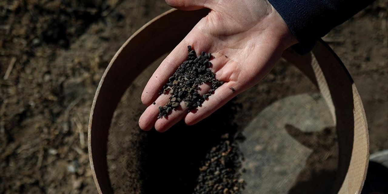 Van'daki Kazılarda 5 Bin Yıllık Olduğu Değerlendirilen Karbonlaşmış Arpa Taneleri Bulundu