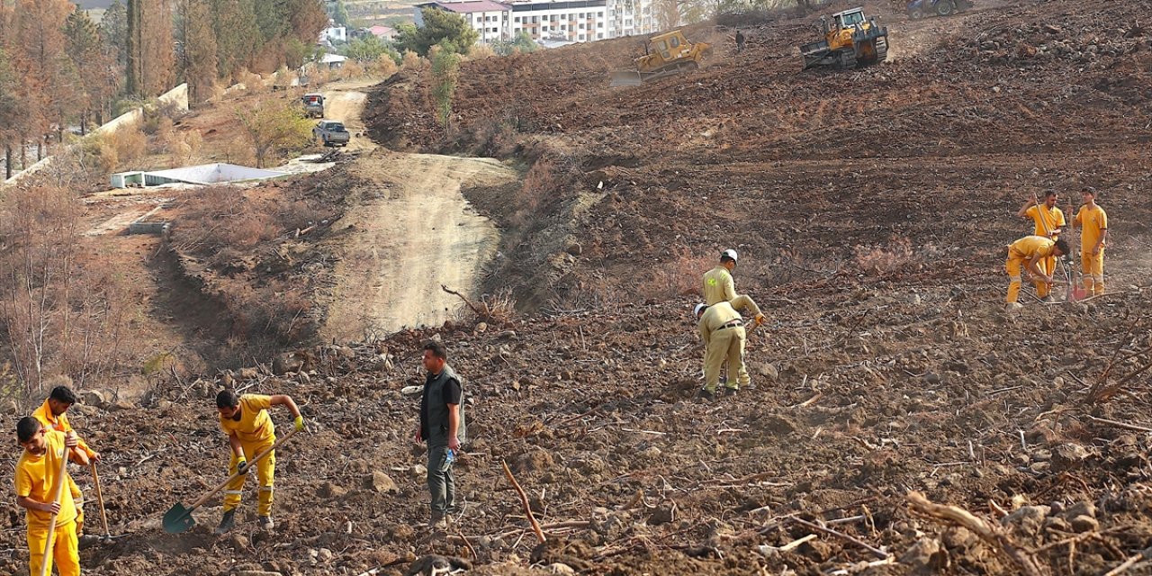 Hatay Ve Kilis'te Bir Günde 44 Bin 50 Fidan Toprakla Buluşturulacak