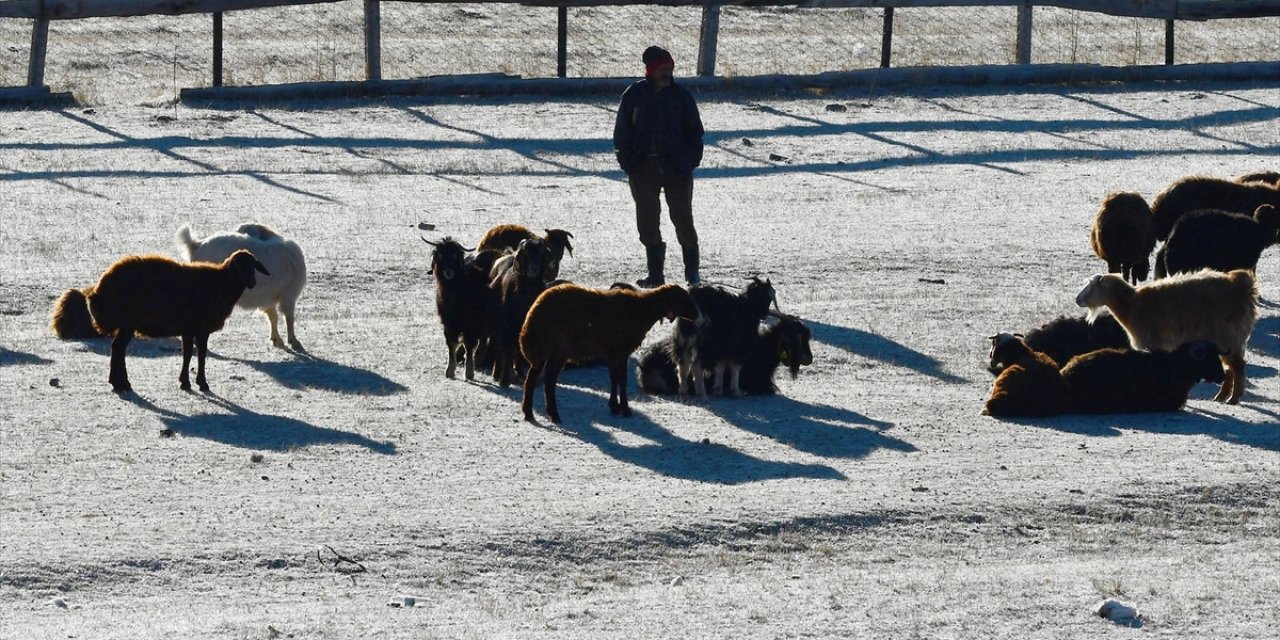 Kars'ta Soğuk Havanın Etkisiyle Buzlanma ve Kırağı Oluştu