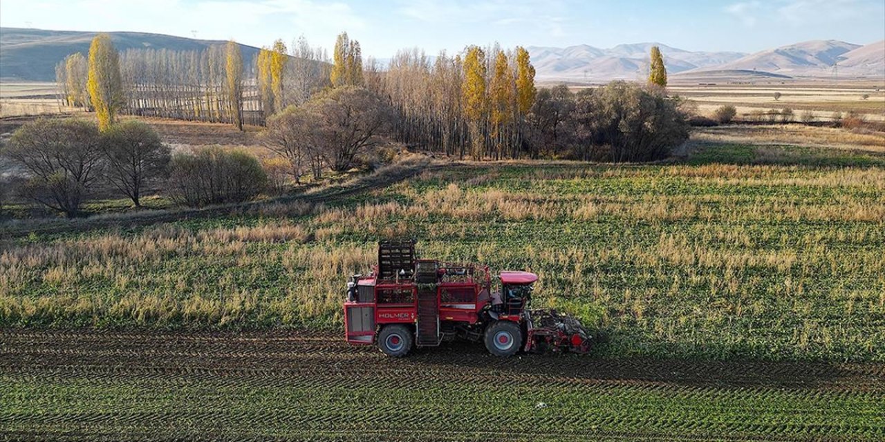 Bayburt'ta Şeker Pancarı Üretim Alanı 5 Yılda 6 Kat Arttı