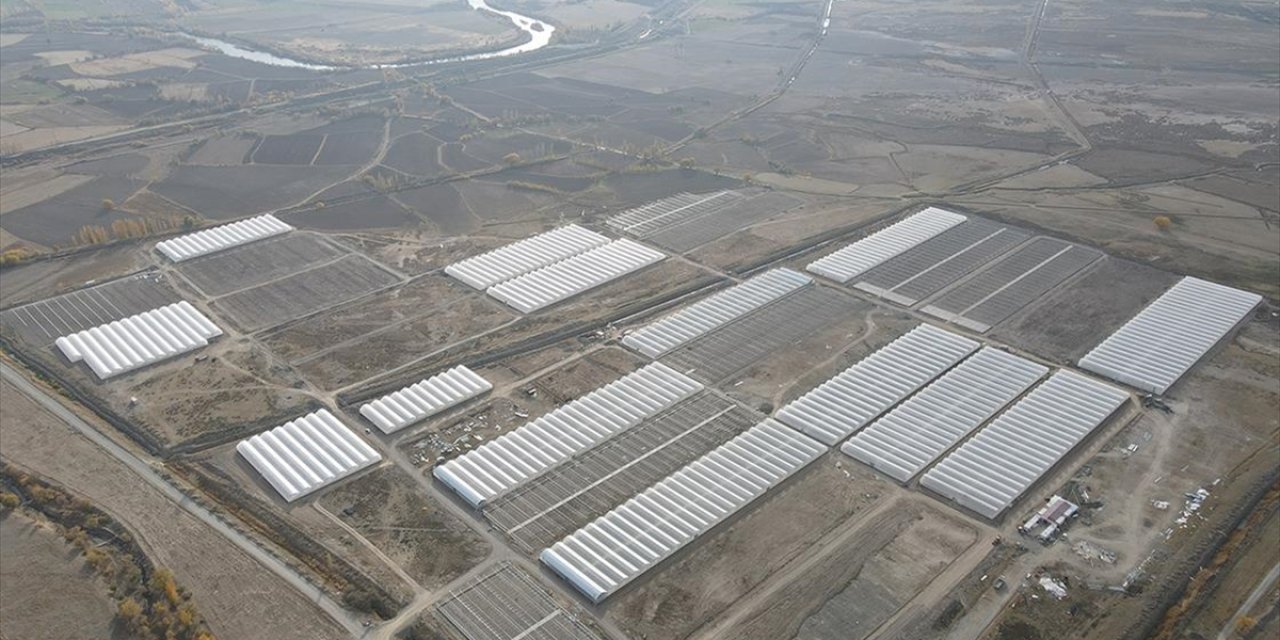 Doğu Anadolu'nun En Büyük Toplu Sera Alanı Erzincan'da Kurulacak