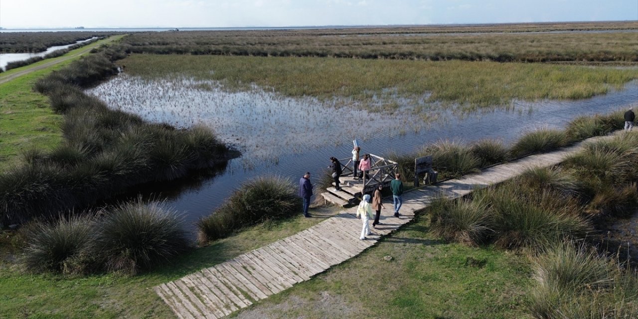 Kızılırmak Deltası Kuş Cenneti'ni Son 2 Yılda 220 Bin Kişi Ziyaret Etti