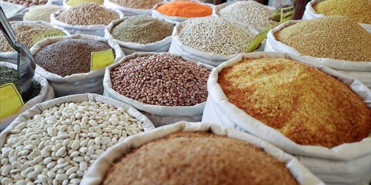 Güneydoğu Anadolu'nun Hububat İhracatı 10 Ayda 2,9 Milyar Dolara Ulaştı