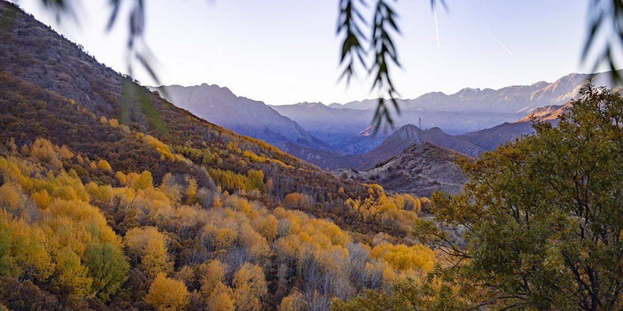 Tunceli'nin Salördek Ormanları Sonbaharda Doğayla Buluşmak İsteyenleri Ağırlıyor