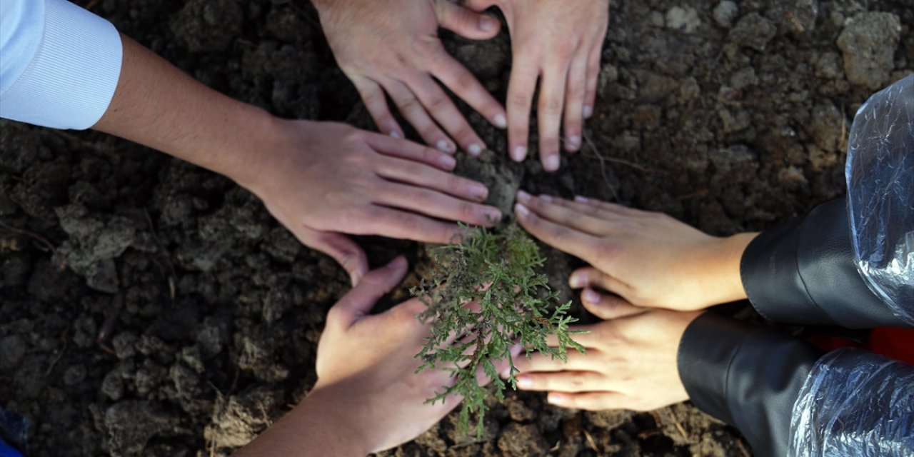 11 Kasım Milli Ağaçlandırma Günü'nde "Çifte Rekor" Kırıldı