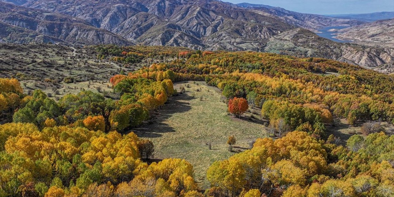 Diyarbakır'ın Kulp İlçesindeki Sonbahar Renkleri Dronla Görüntülendi