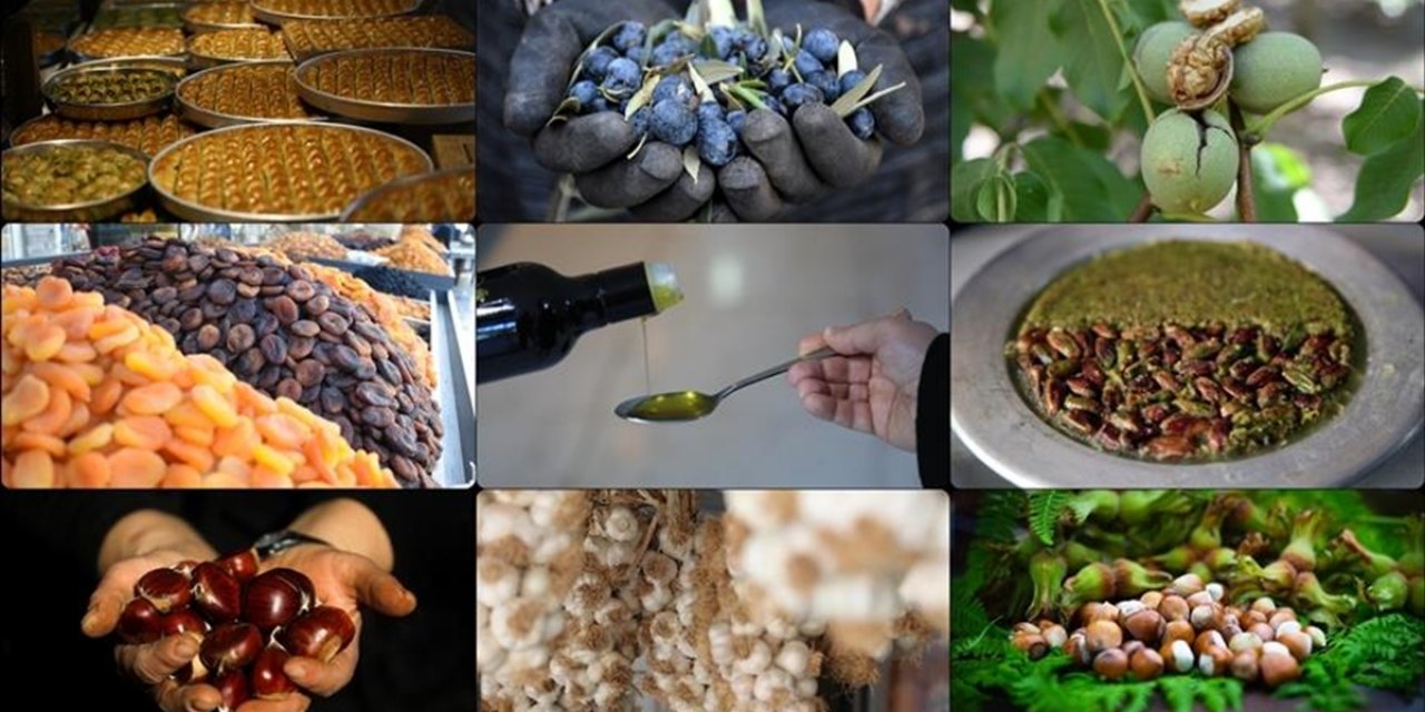 AB Tescili, Türk Ürünlerinin Küresel Pazarda Görünürlüğünü Artırıyor