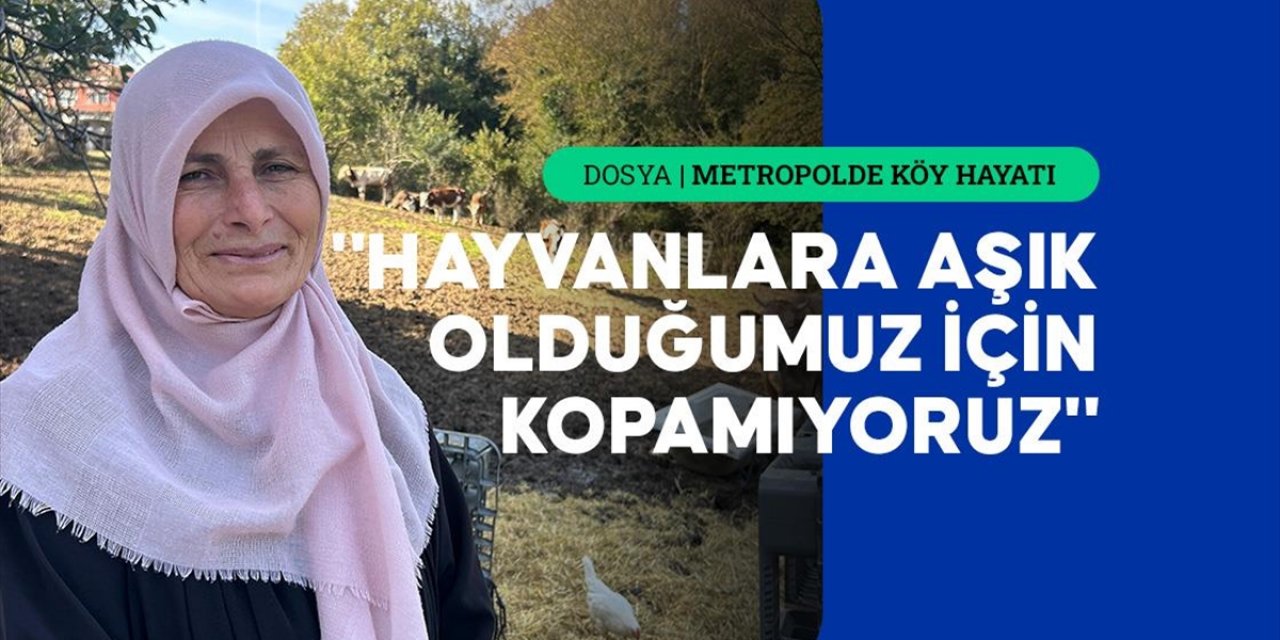 İstanbul'un Köy Hayatı Süren Mahallelerinde Stresten Uzak Organik Yaşam