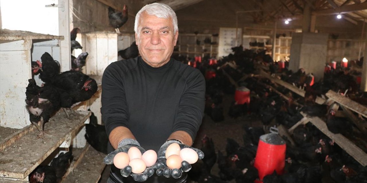 Çocukluk Hayalini Gerçekleştirmek İçin Memleketine Tavuk Çiftliği Kurdu