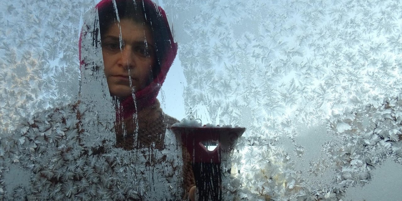 Erzurum, Ardahan ve Kars'ta Soğuk Hava İle Sis Etkili Oluyor