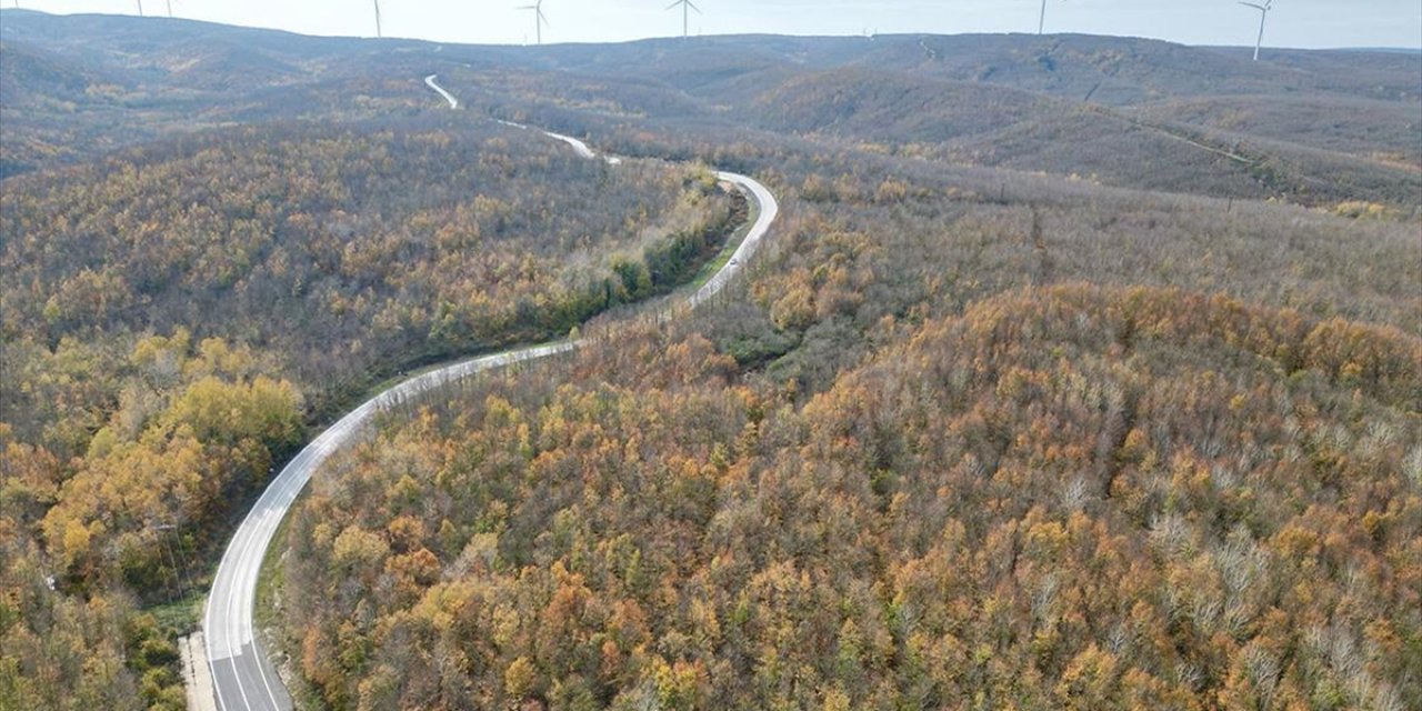 Tekirdağ'da Ormanlar Sonbahar Renklerine Büründü