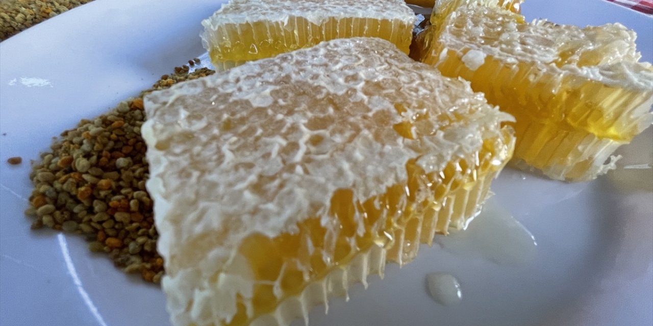 Yenice Ihlamur Balı AB'den Coğrafi İşaret Tescili Aldı