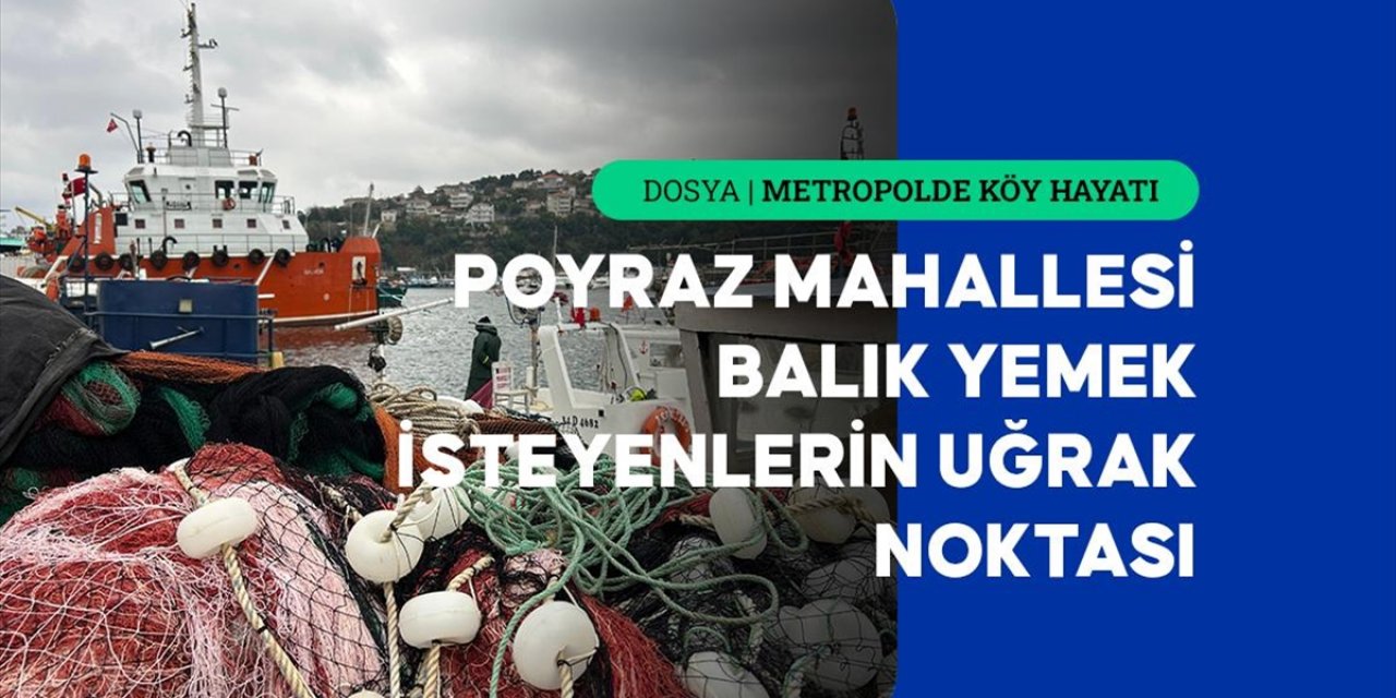Boğaz'a Nazır Poyraz Mahallesi Sakinleri Ekmeğini Denizden Çıkarıyor