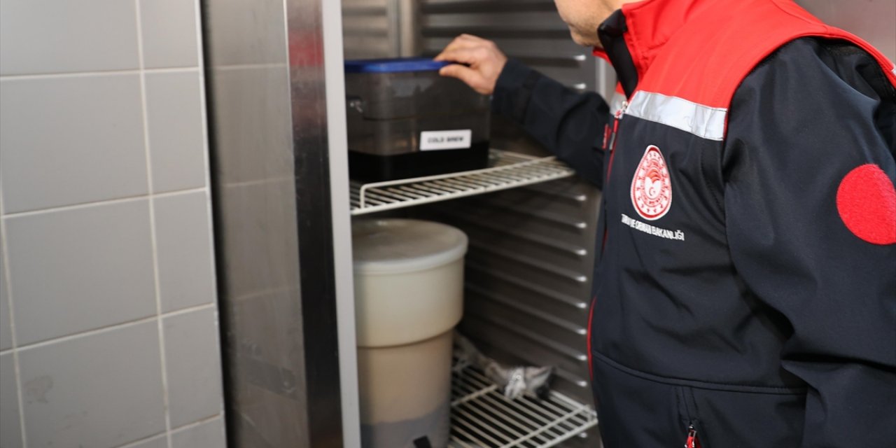 İstanbul’da Gıda İşletmelerine Yönelik Denetimler Sürüyor