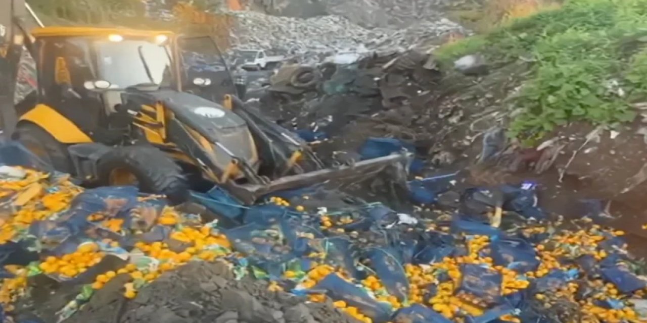 Tarım Bakanlığı, Zirai İlaçlı Ürünleri Plastik Kasalarla Toprağa Gömdü