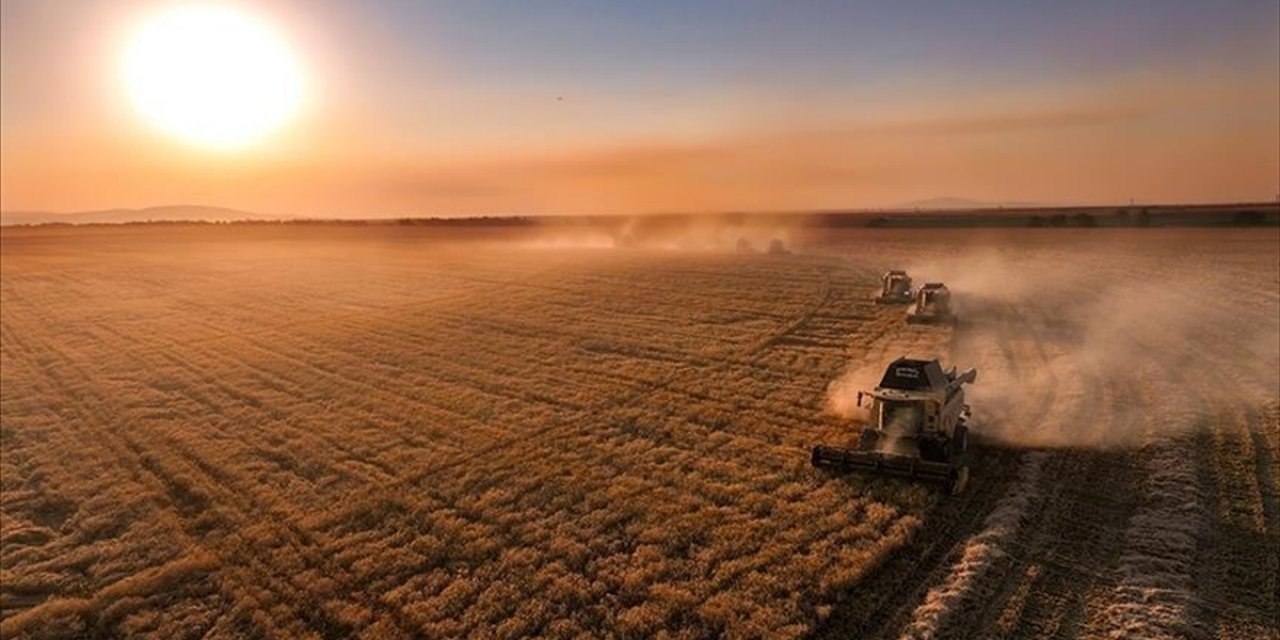 Çiftçilere 331 Milyon 664 Bin Lira Tarımsal Destek Ödemesi Bugün Yapılacak