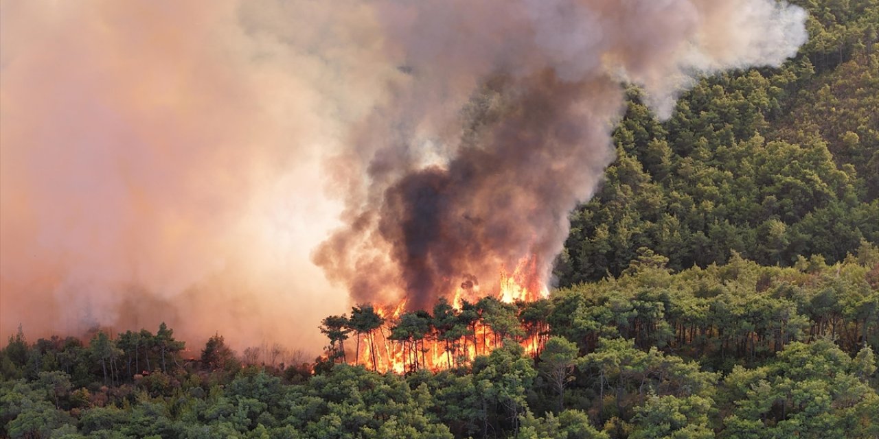 İran, Şiddetlenen Orman Yangınlarına Müdahale İçin Uluslararası Yardım Çağrısında Bulundu