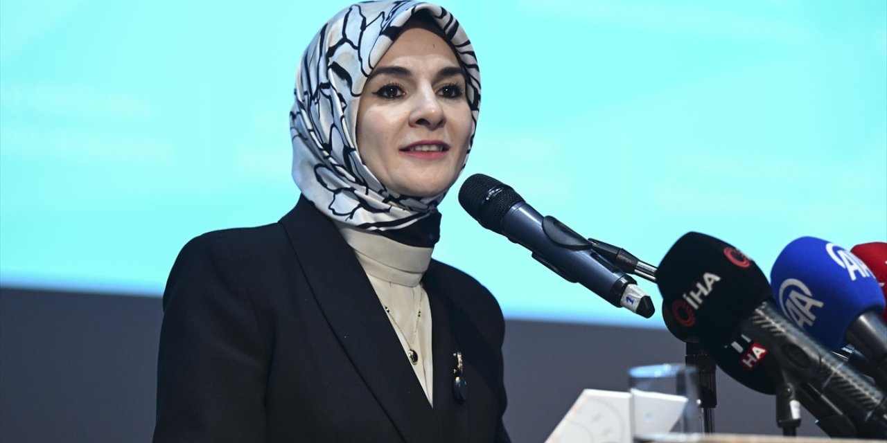 Kadına Yönelik Şiddetle Mücadele V. Ulusal Eylem Planı 25 Kasım'da Açıklanacak