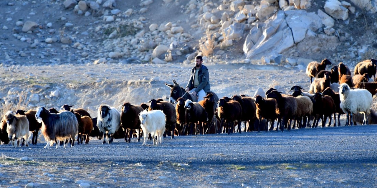 Kars Yaylalarındaki Göçerlerin Dönüş Yolculuğu Devam Ediyor