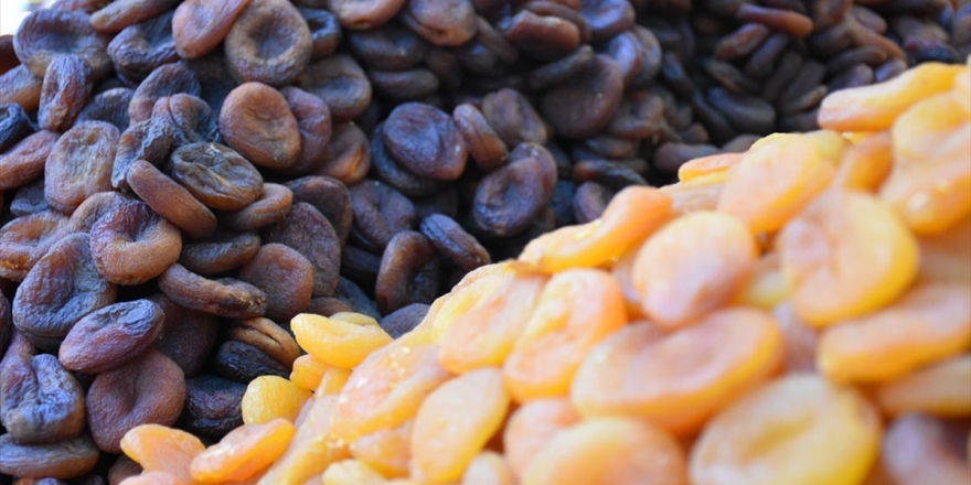 Kuru Kayısıdan 9 Ayda 174 Milyon Dolar Kazanç