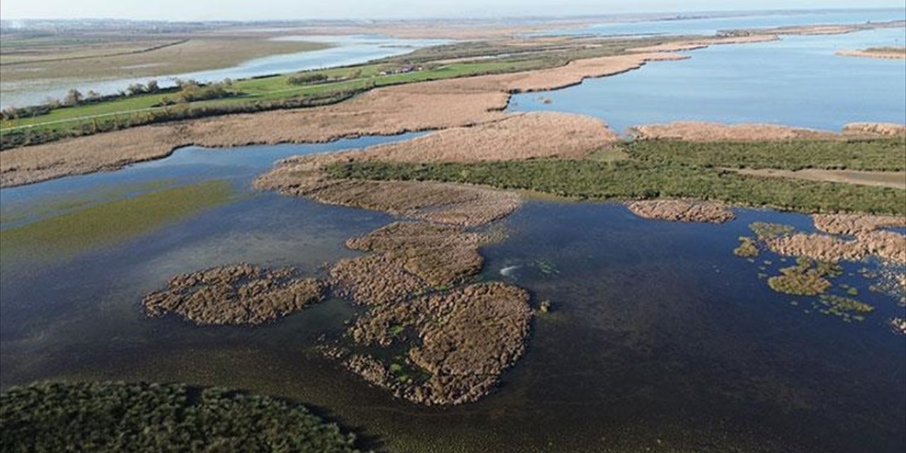 Samsun Kızılırmak Deltası'nda Suları Çekilen Göller Sonbahar Yağışlarıyla Canlandı