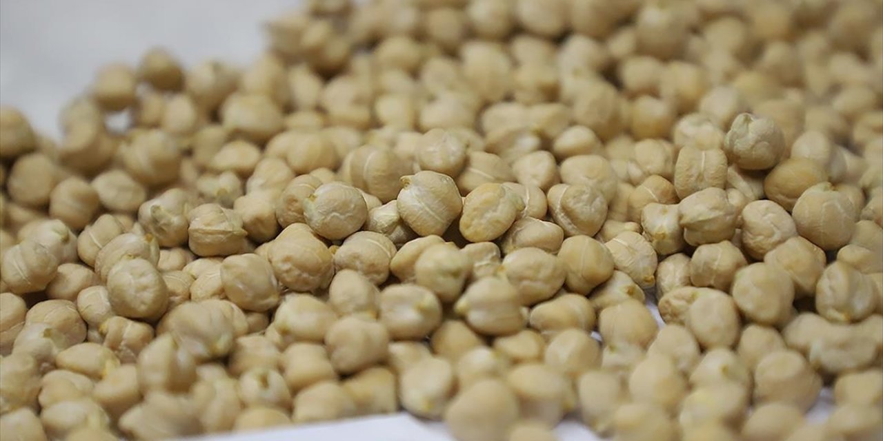 Nohut İthalatında Gözetim Uygulamasına İlişkin Tebliğ Yürürlükten Kaldırıldı