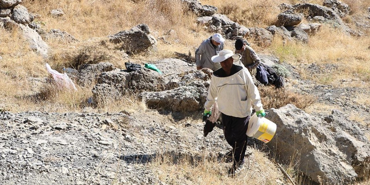 Kilometrelerce Yürüyerek Ulaştıkları Dağlık Alanda  Kaya Balı Hasadı Yaptılar
