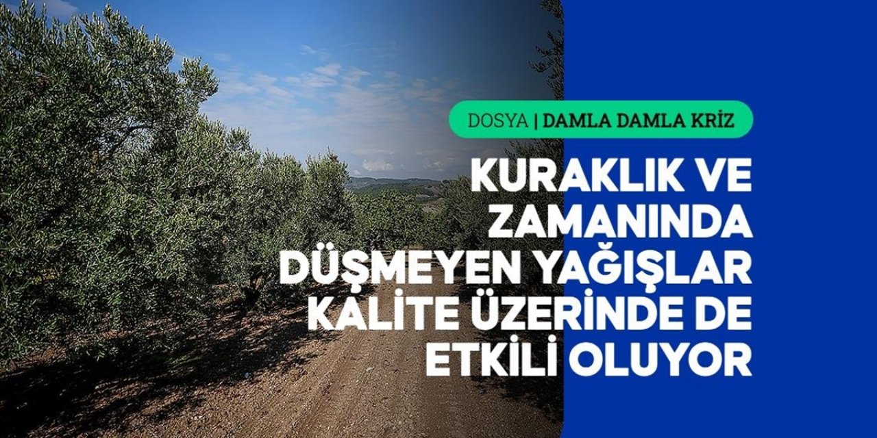 Azalan Su Kaynakları Tarımda Hem Verimi Hem de Kaliteyi Etkiliyor