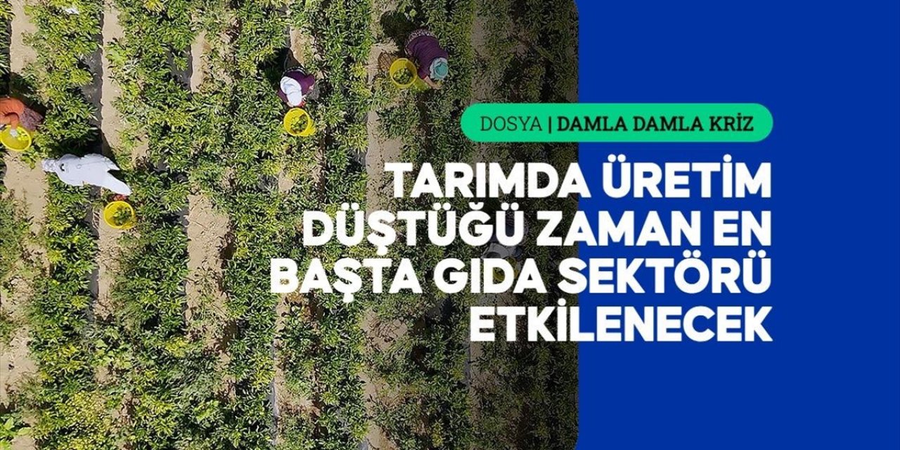 Kuraklığın Etkileri Tarladan Fabrikaya, Fabrikadan Sofraya Uzanıyor